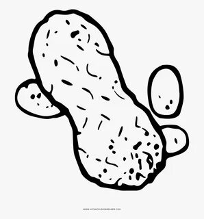 Peanut Coloring Page , Free Transparent Clipart - ClipartKey