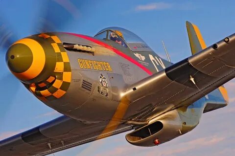P-51 " GUNFIGHTER " Vliegtuig, Luchtvaart, Wereldoorlog
