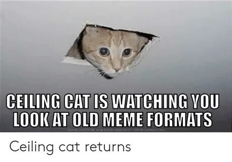 CEILING CAT IS WATCHING YOU LOOK AT OLD MEME FORMATS DOWNLOA