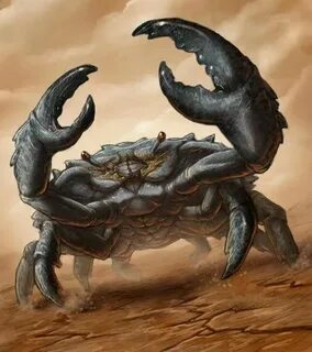 Rock Crab Crab tattoo, Crab art, Monster art