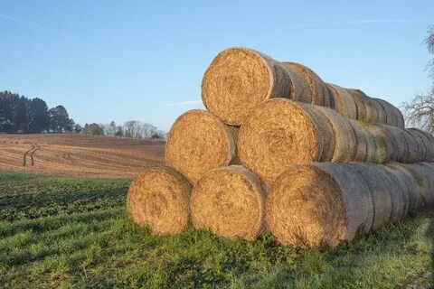 Round straw bales free image download