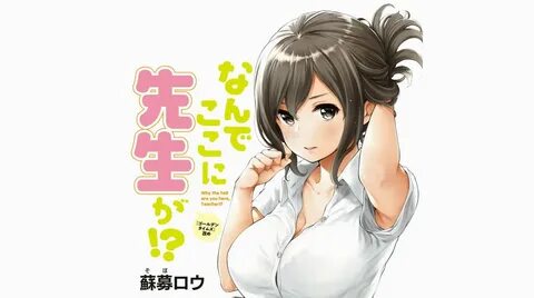 Why the hell are you here, Teacher!? - Anime-Adaption angekü