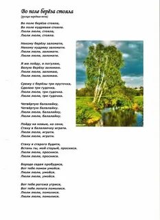 Про березку и не только