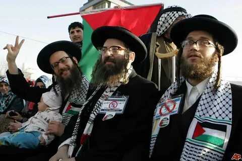 Judíos ultraortodoxos que apoyan la 'Causa Palestina'