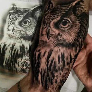 Black and grey owl on the right inner arm. Tatuajes del musl