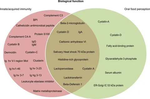 Salivary proteome of a Neotropical primate: potential roles in host defense and 