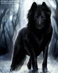 Blue and Black Cute wolf drawings, Wolf artwork, Beautiful w