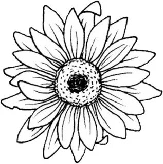 sunflower freetoedit #sunflower sticker by @maddie_629