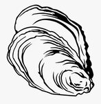 Clam clipart sketch, Picture #2364087 clam clipart sketch