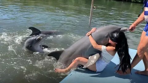 Shocking Moment Woman Is Unexpectedly Humped By A Dolphin