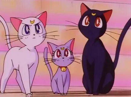 Artemis, Diana, Luna Sailor Moon on We Heart It Sailor moon 