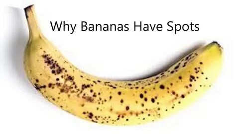 Why Bananas Have Spots - YouTube.