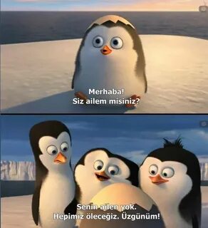 Timeline Photos - Film Replikleri ve Kesitler Penguins of ma