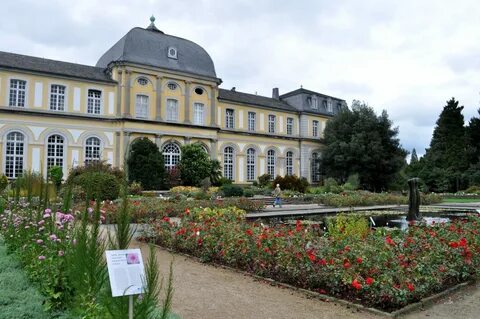 Ботанический сад Бонна Места Бонн Германия