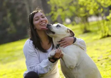 Descubre cuál es la personalidad de tu perro! Porque no se m