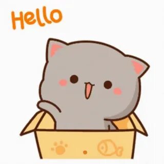 Hello Cute GIF - Hello Cute Cat - Discover & Share GIFs