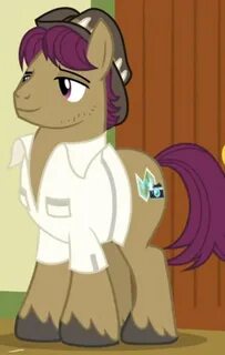 Snap Shutter and Mane Allgood My Little Pony Friendship is M