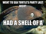 Sea turtle Puns