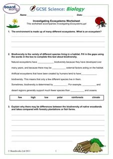 34 What Is An Ecosystem Worksheet - support worksheet