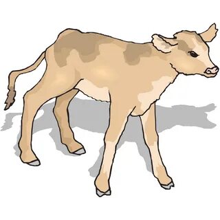 Curious Calf SVG Clip arts download - Download Clip Art, PNG