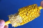 Corn On The Cob Finger Grips - Free photo on Pixabay