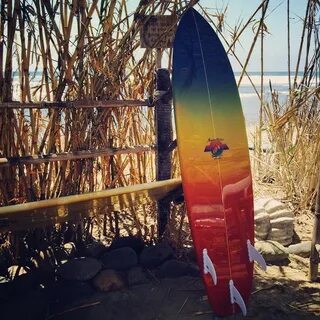Aviator Nation Surfboards (@aviatornationsurfboards) — Instagram