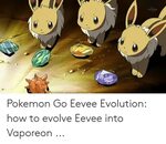 🇲 🇽 25+ Best Memes About Eevee Evolution Eevee Evolution Mem