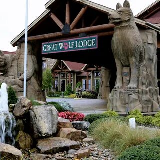 5 Reasons Why I Wouldn’t Return To The Great Wolf Lodge US C