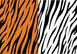 Tiger Stripe Pattern Tiger stripes, Stripes pattern, Vector 