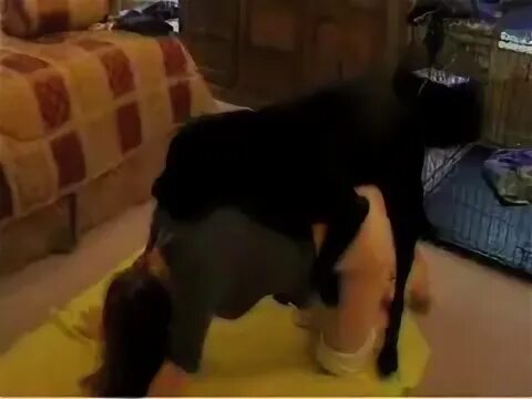 Dogs Humping Fuck Girls Sex Pictures Pass