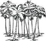 Drawing Palm tree #161177 (Nature) - Printable coloring page