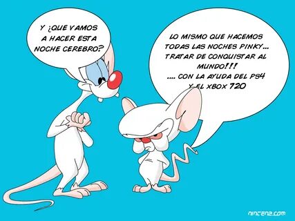 Pinky And The Brain - 1600x1200 - Download HD Wallpaper - Wa