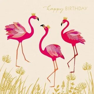 Sara Miller - Birthday flamingos Flamingo happy birthday, Bi