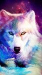 Galaxy Glitter Wolf Theme Fotos de animales salvajes, Fondos