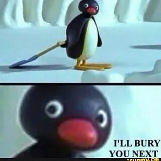Pingu Memes
