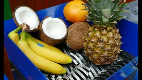 SHREDDING A COCONUT AND OTHER FRUITS (BANANA, PINEAPPLE, ORA