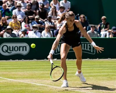 File:Petra Martic (49744510248).jpg - Wikimedia Commons