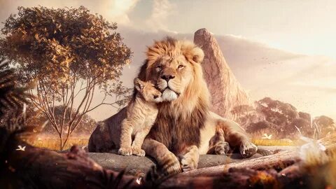 THE LION KING on Behance