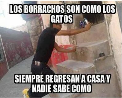 Nadie sabe como regresan #memes #borrachos blasted Memes mex