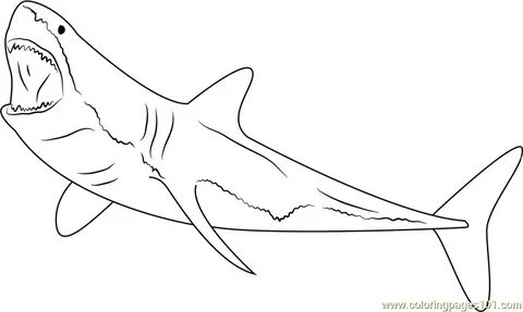 Shark Coloring Pages Printable at GetDrawings Free download