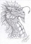 Sea Dragon Drawing at PaintingValley.com Explore collection 