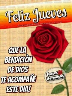 Imágenes con Frases de Buenos Días Feliz Jueves Bendiciones 