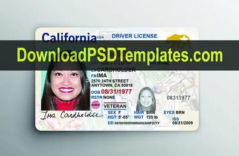 Fake ID Templates Generator Free ID Card Maker Online - Down