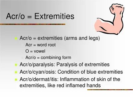 PPT - Medical Terminology PowerPoint Presentation, free down