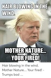 🅱 25+ Best Memes About Wind Meme Wind Memes