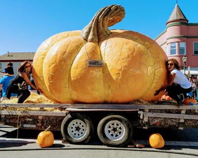 49th Half Moon Bay Art & Pumpkin Festival, World Pumpkin Cap