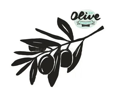 Olive Branch Vector Stock Illustrations - 25,852 Olive Branc
