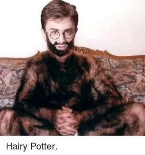 p Hairy Potter p Potter Meme on esmemes.com