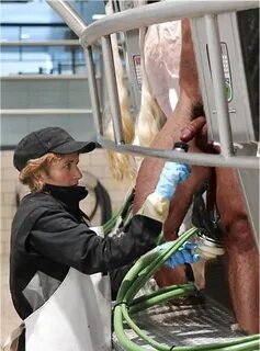 cow girl milking male - Photo #15