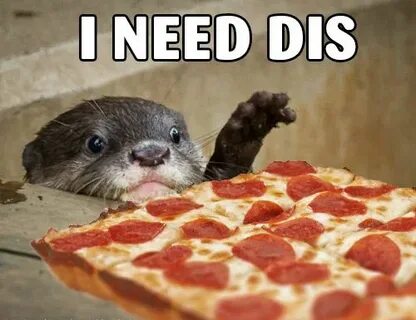 I need dis Jet's Pizza #treatyoself Jets pizza, Pizza, Pizzz
